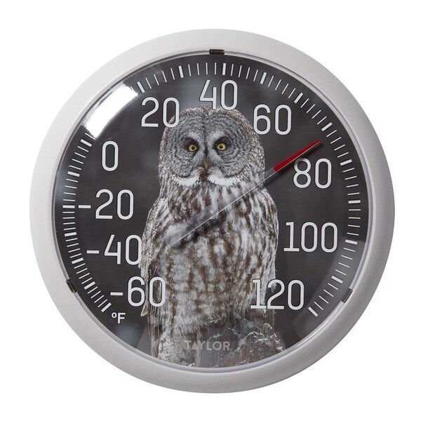 Taylor Taylor Owl Dial Thermometer Plastic Multicolored 13.25 in. 5307061 - main